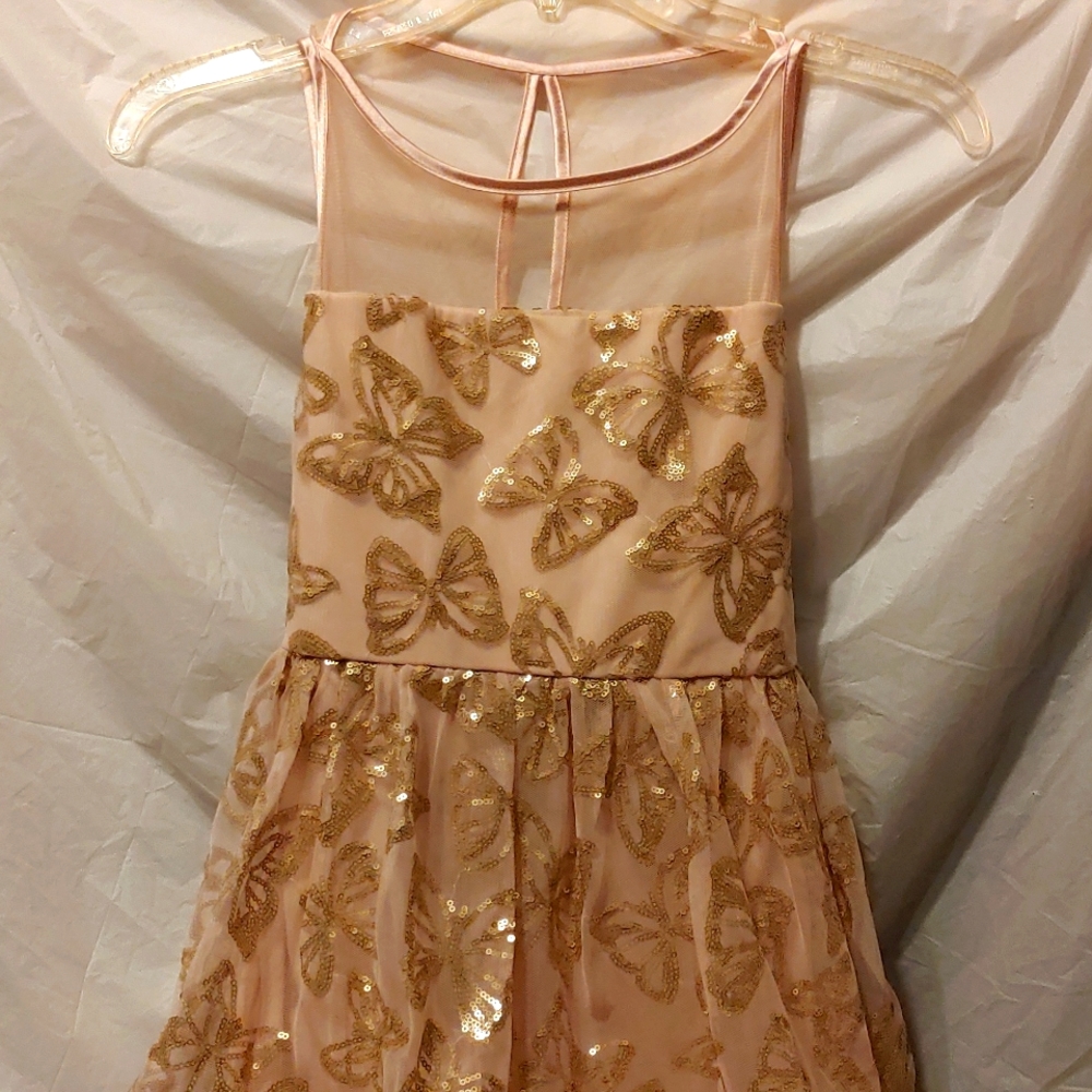 Crystal Doll Blush/Gold dress
